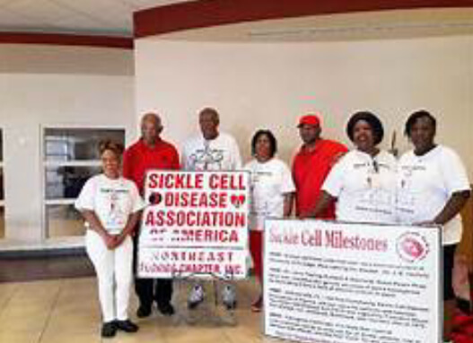 You are currently viewing Genetic counselling, genotype screening critical to preventing sickle cell