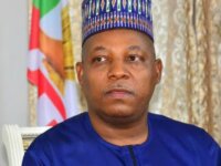VP Shettima says forces are bent on pulling down Nigeria