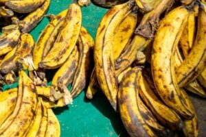 The danger of eating too much plantain